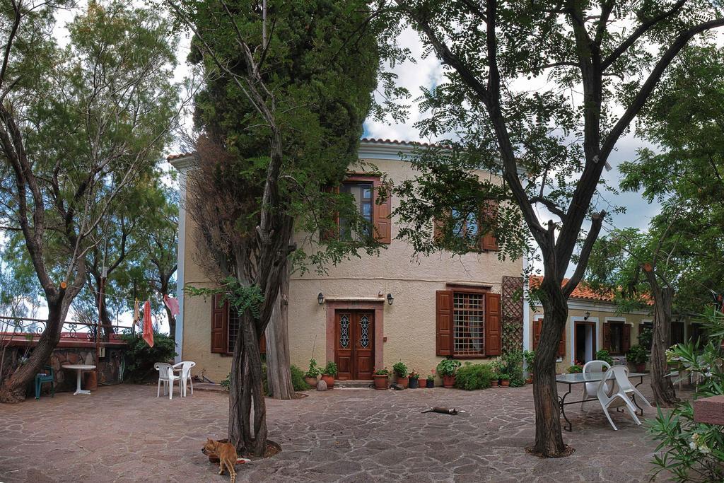 Lela Kaptani Eftalou Olive Grove Mithimna Exteriér fotografie