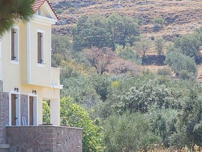 Lela Kaptani Eftalou Olive Grove Mithimna Exteriér fotografie